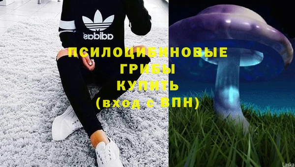 трава Армянск