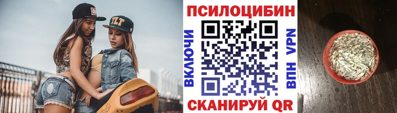 что такое   Судак  Галлюциногенные грибы Magic Shrooms 